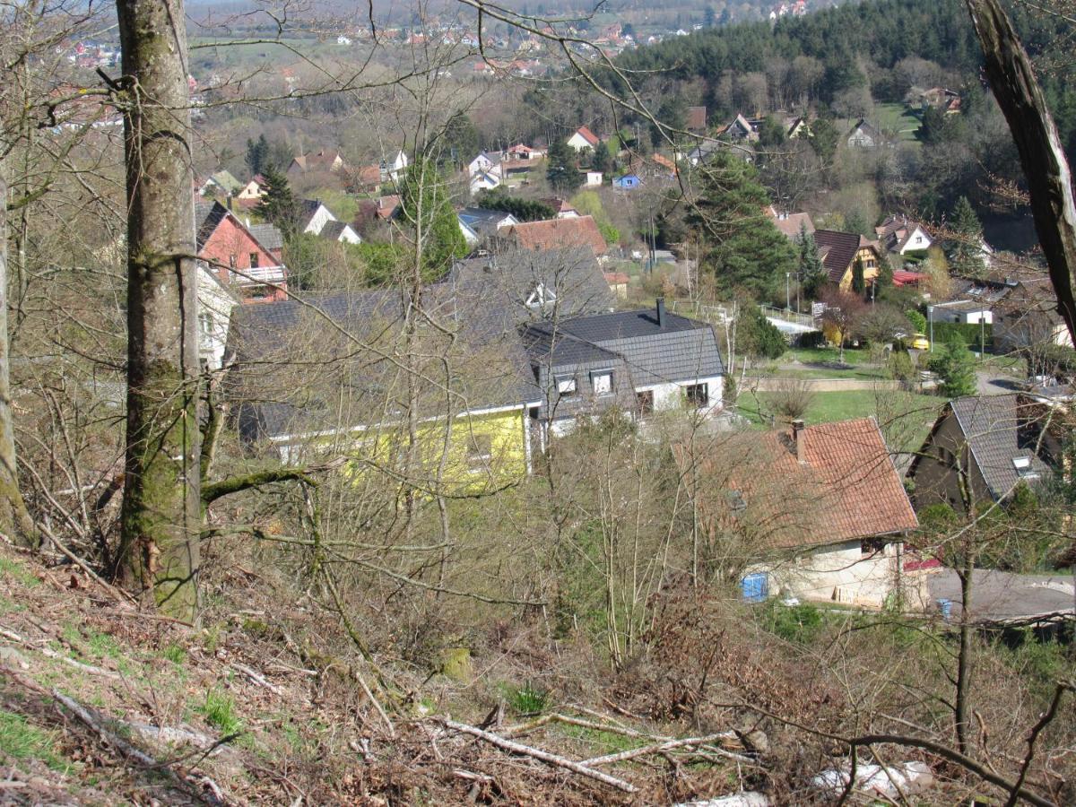 Le Clos D'Aure. Oberhaslach Exterior foto